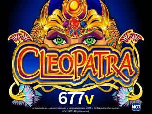 A Experiência Imersiva dos Cassinos Ao Vivo no 677v